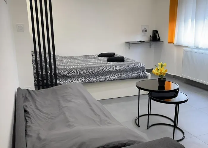 Apartment Moonyellow - Basel - Airport - Highquality